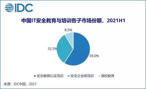 IDC報(bào)告揭示 2021上半年中國(guó)網(wǎng)絡(luò)安全服務(wù)市場(chǎng)迎爆發(fā)，網(wǎng)絡(luò)與信息安全軟件開發(fā)成核心引擎